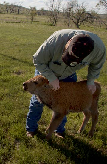 farmer