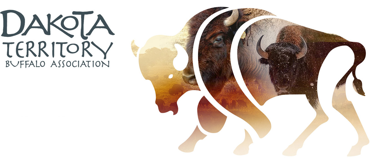 Dakota Territory Buffalo Association