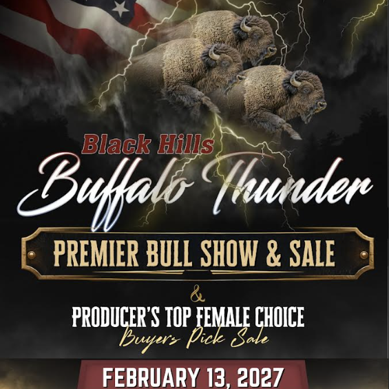 BHBT bull and female with update female verbage